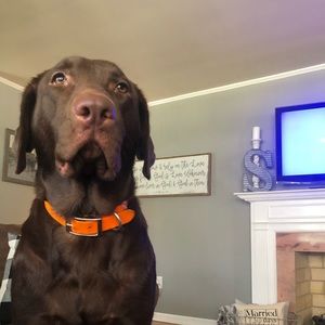 Meet your Posher, Michael